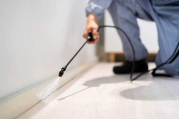 Licensed Pest Control service in Columbiana, OH - Show Me Pest Control