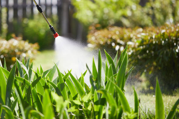 24/7 Emergency Mosquito Control experts in Columbiana, OH