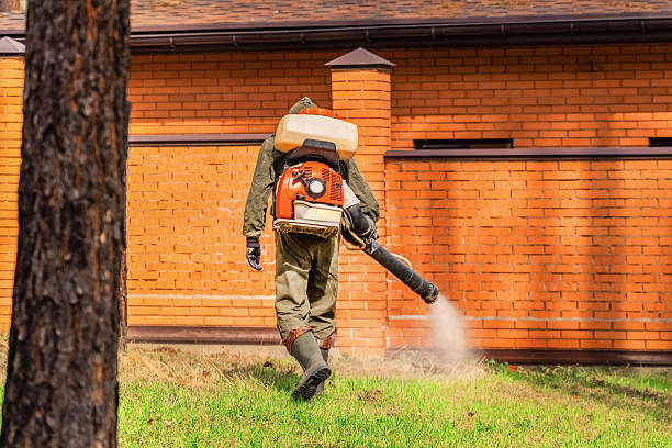 Top rated local Mosquito Control specialists in Columbiana, OH